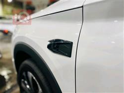 بي واي دي سونغ بلس